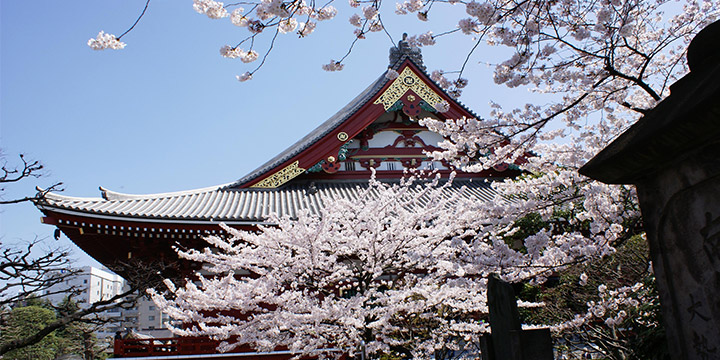 Asakusa Kannon Temple