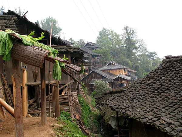 Basha Miao Village