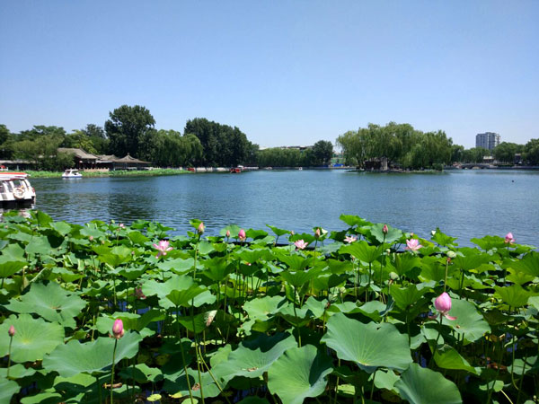 The Best Free Things to Do in Beijing, Houhai Lake