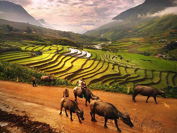 vietnam landscape