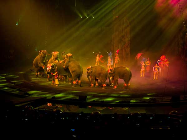 Chimelong International Circus