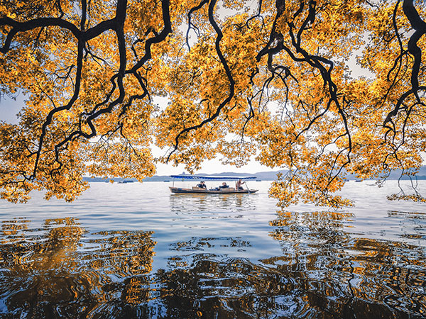 Take a Cruise in West Lake