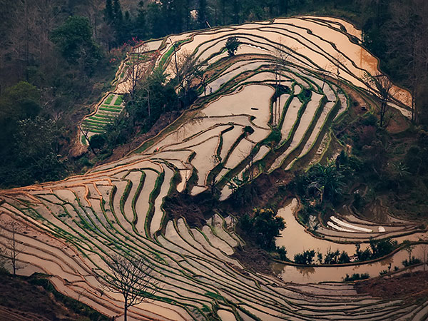 The Seven Most Beautiful Villages and Towns in China-Hani Village