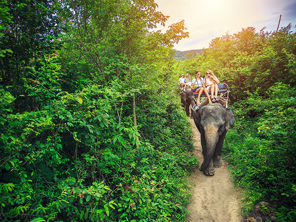 19 Days Best of China and Thailand