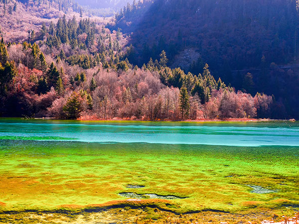 Jiuzhaigou Facts