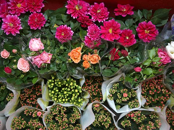 Flower and Bird Market of Kunming