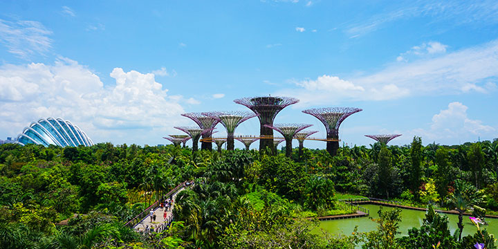 Gardens by the Bay