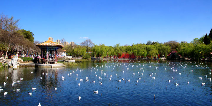 Kunming City View-Green Lake Park