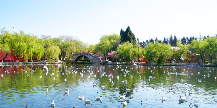 Kunming Green Lake