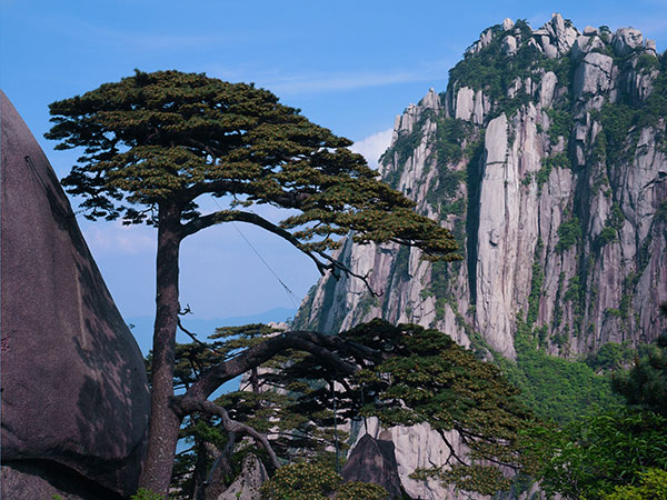 Mt. Huangshan