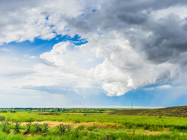 The Most Beautiful Grassland in China - Ili Grassland