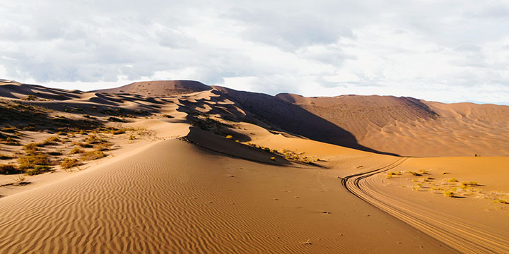 Kubuqi Desert