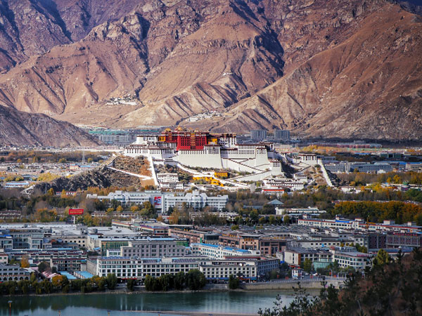 lhasa