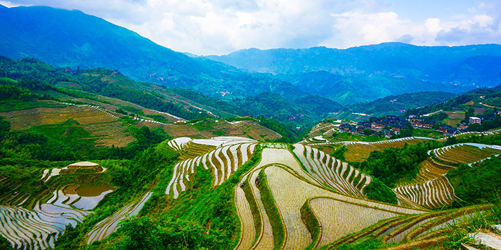 Longji Rice Terraces