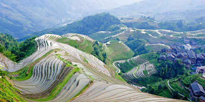 Longji Terraces