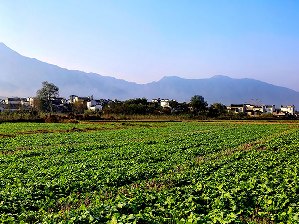 Nanping Village