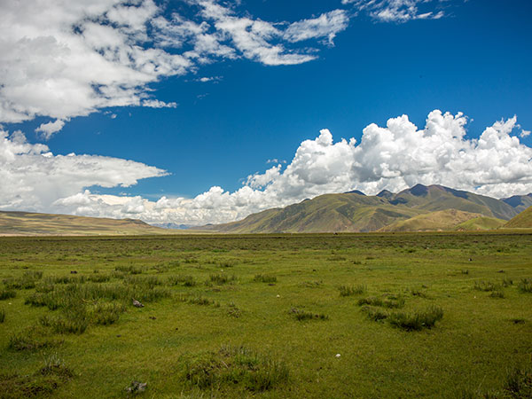 North Tibet Grassland