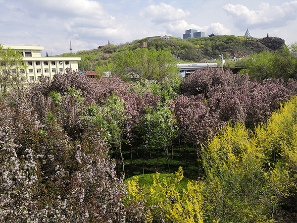 Red Hill (Hongshan) Park