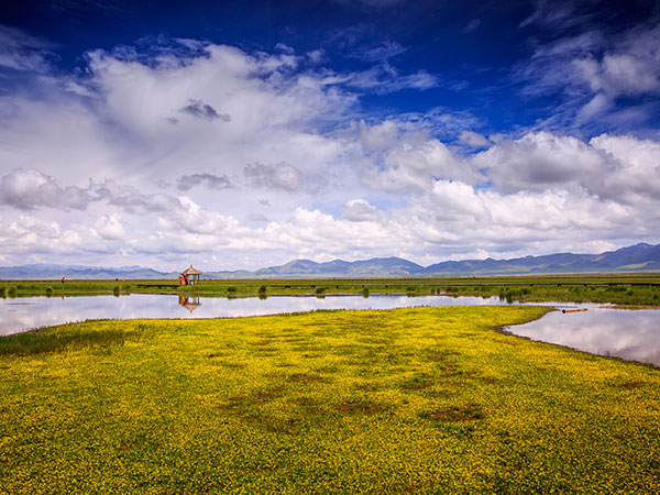 Zoige Wetland