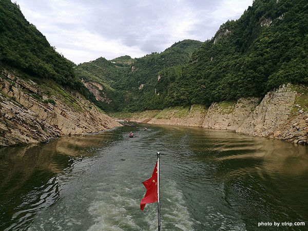 Shennong Stream