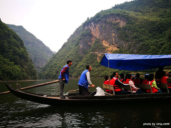 Shennong Stream