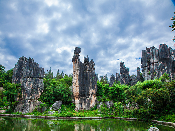 Stone Forest