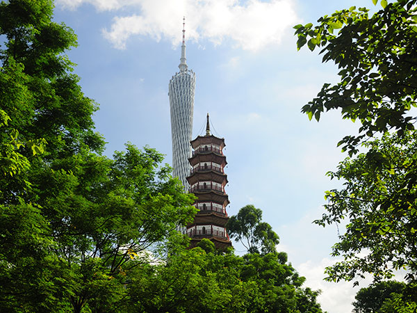 Temple of the Six Banyan Trees