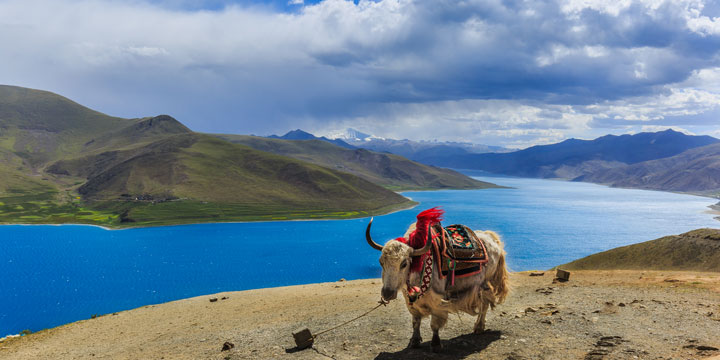 Yamdrok Lake