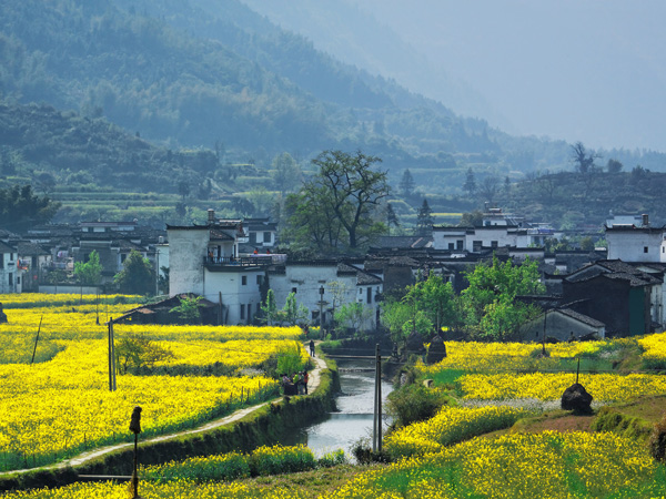 The Seven Most Beautiful Villages and Towns in China-Wuyuan