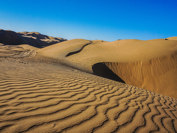 Ordos Climate & Weather