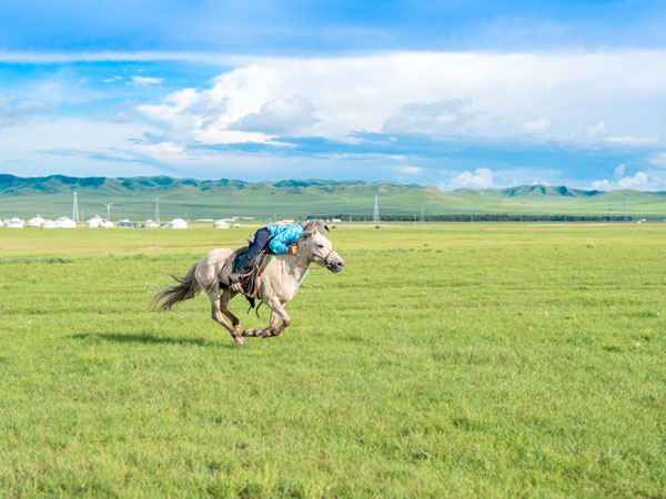 Xilamuren Grassland