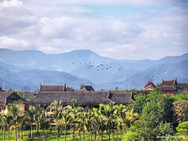 Xishuangbanna Tropical Plants Garden