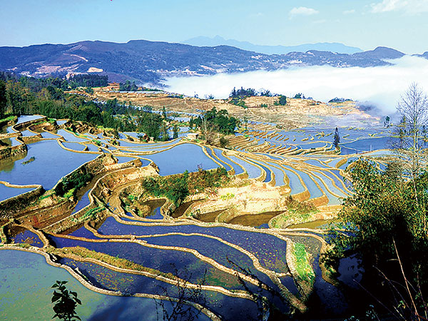 Yuanyang Rice Terraces