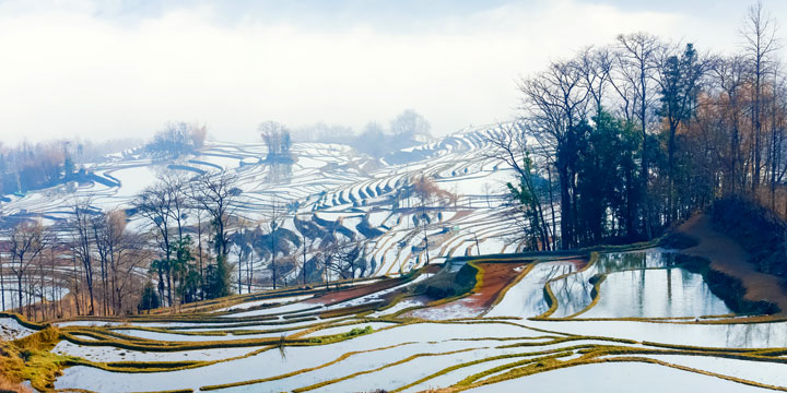 Yuanyang Rice Terraces