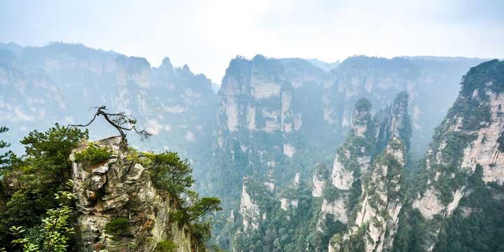 zhangjiajie landscape